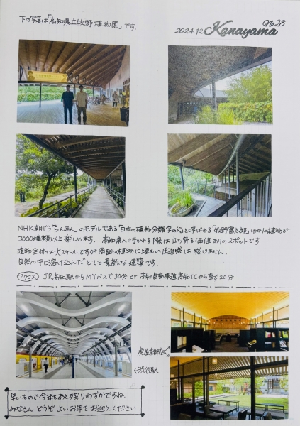 IMG 7390